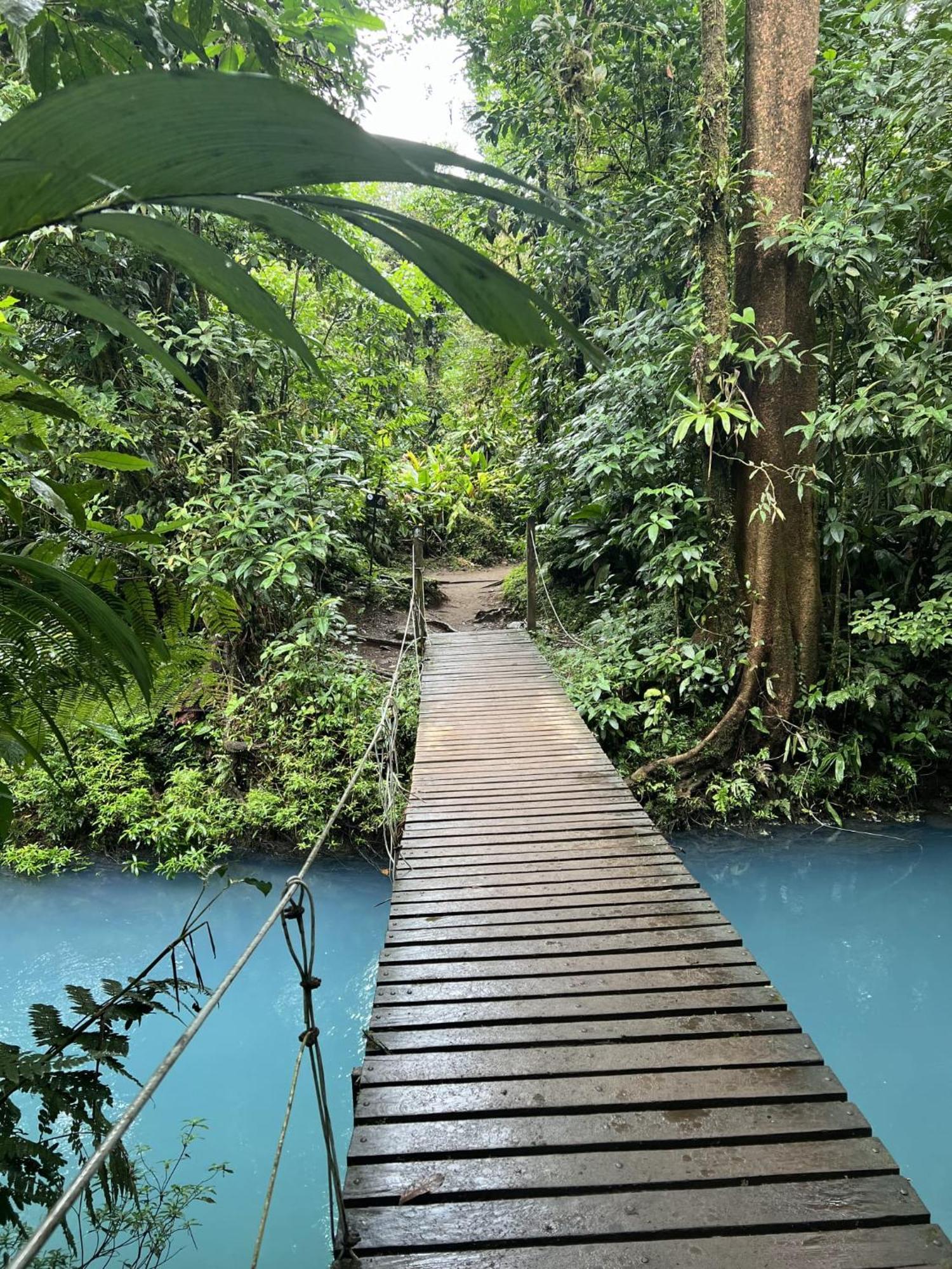 Kakao Lodge & Garden Rio Celeste Bijagua Exteriör bild